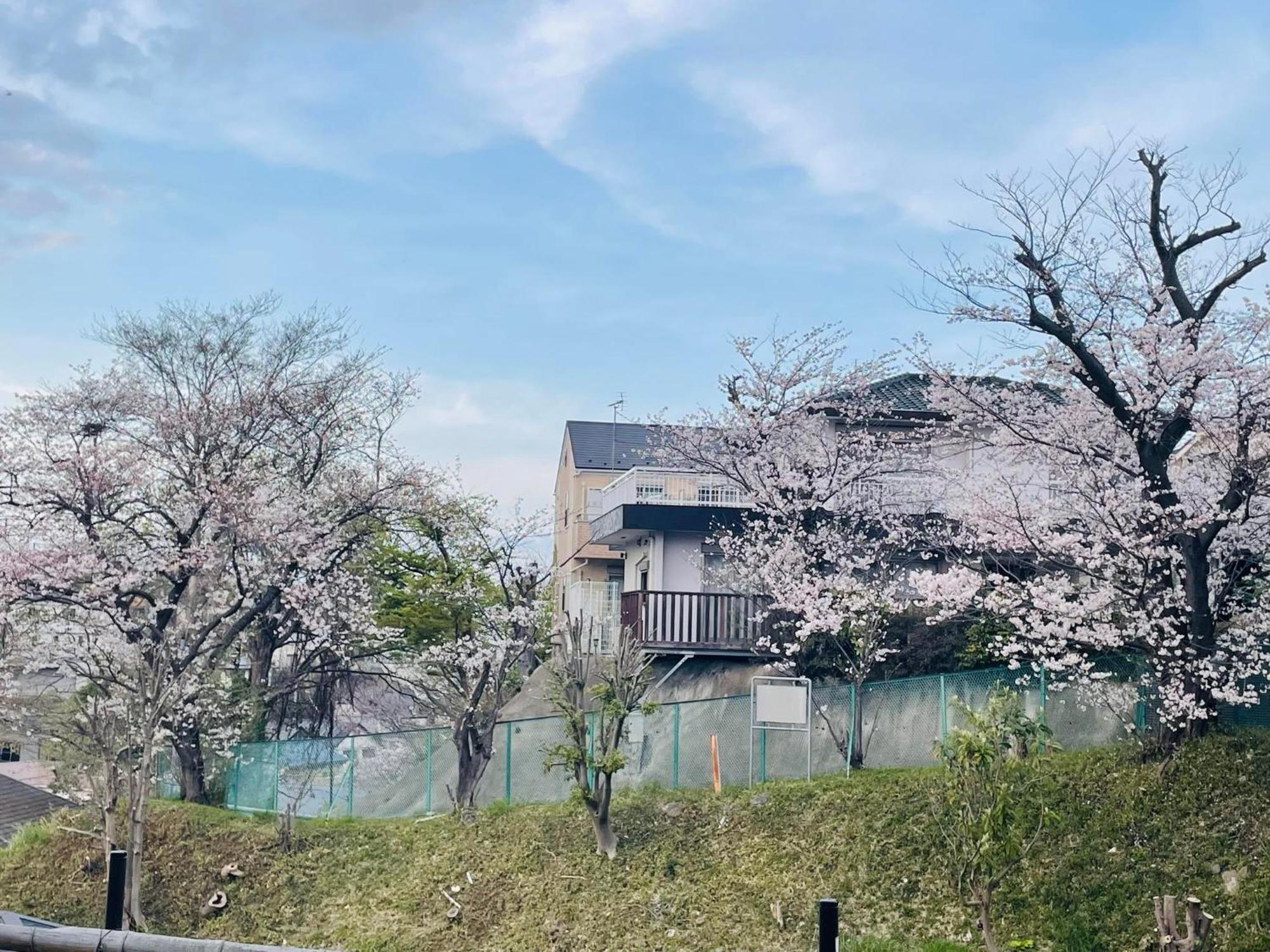 ソフィアハウス横浜 -女性専用シェアハウス- Sopfia House Yokohama For Women Only Shared House Ξενοδοχείο Εξωτερικό φωτογραφία